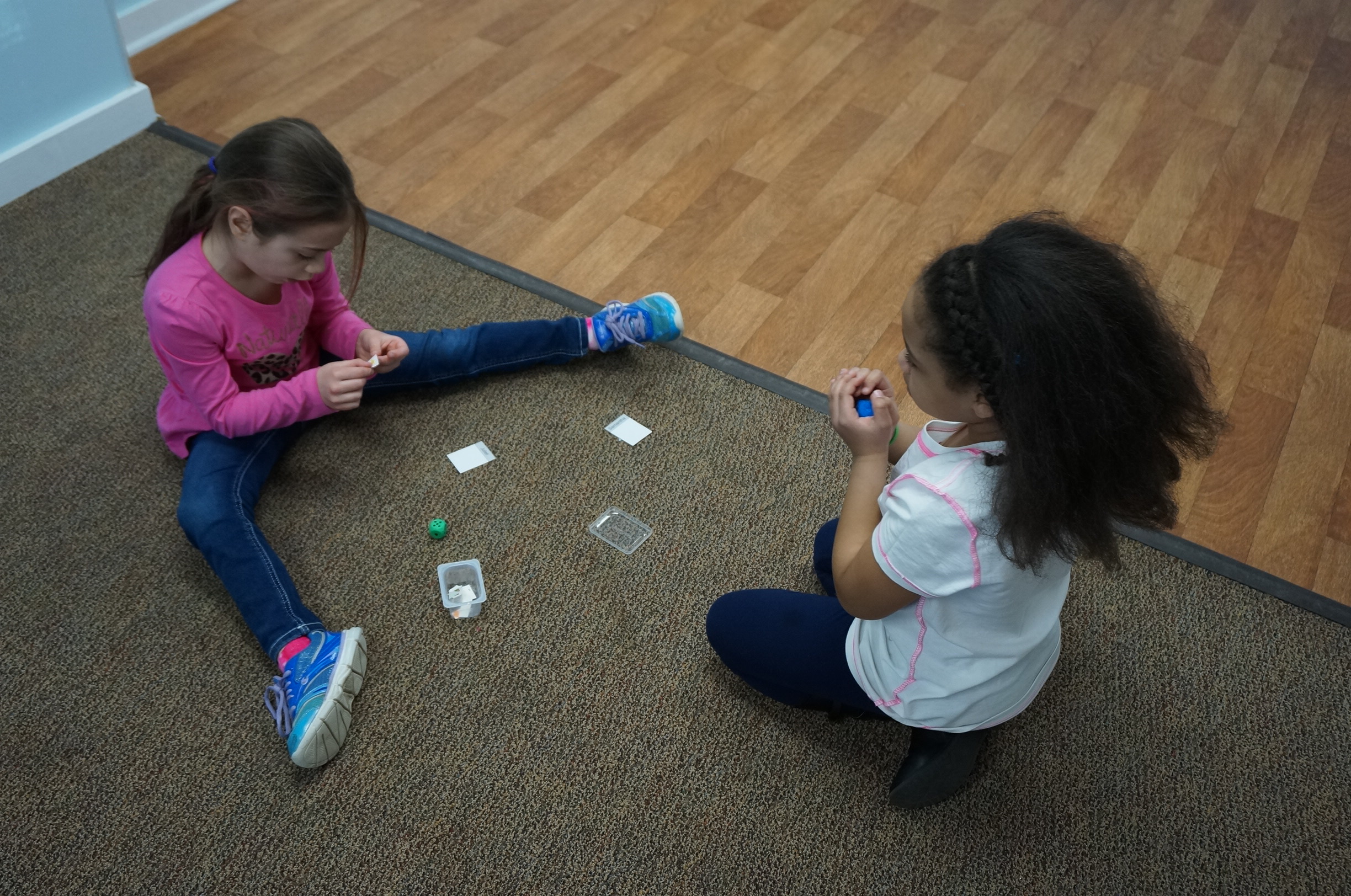 Then we pair up to learn to play Dice Wars! We roll a pair of dice and add the numbers up.
