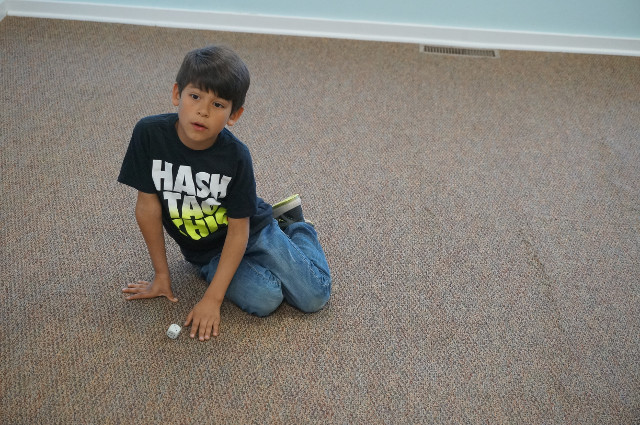 We rolled each number just about the same number of times!