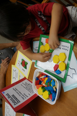 Solving pattern block challenges is good for everyone!