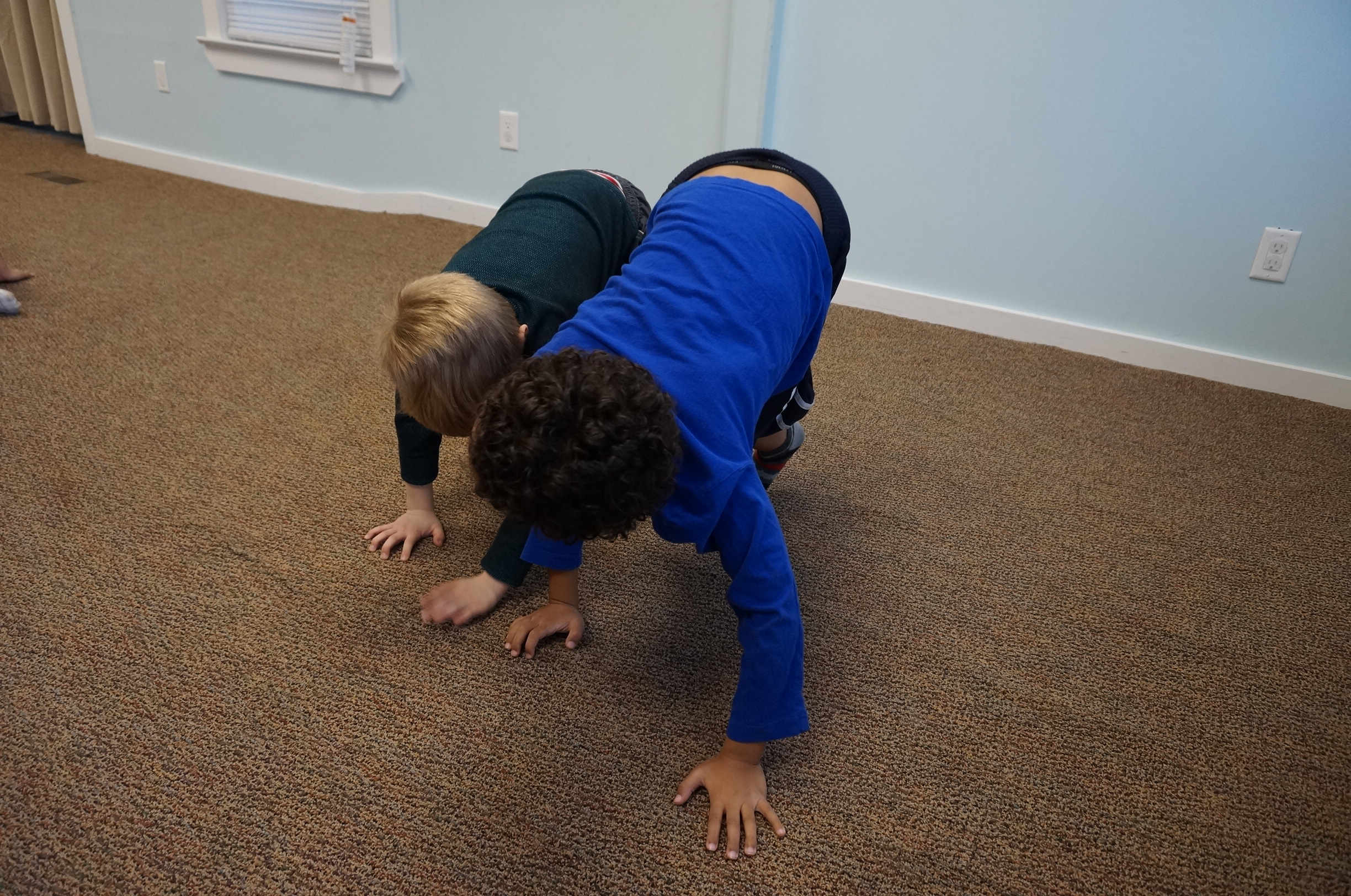 We figured out one way. It's easier to walk with four legs.