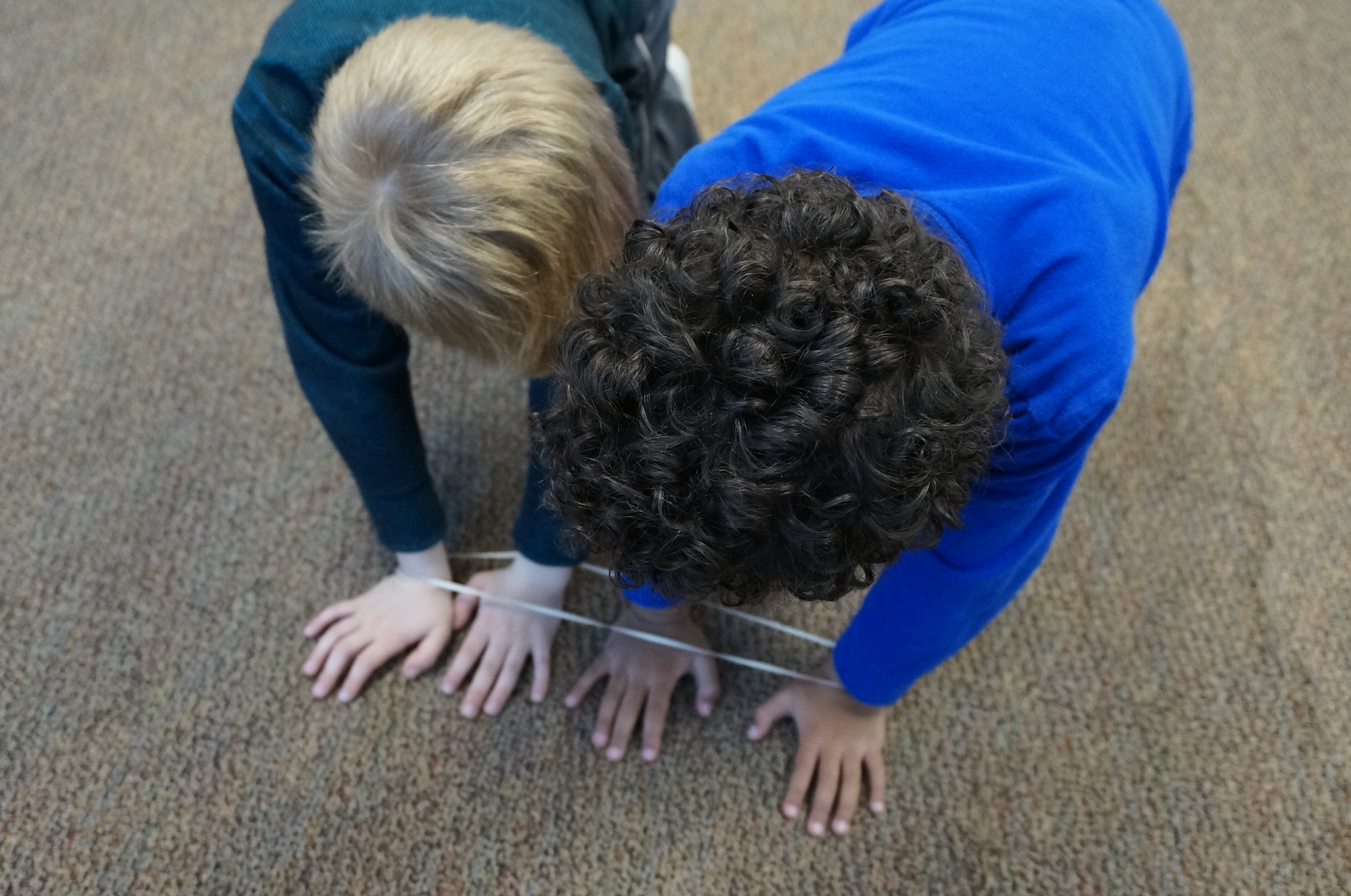 Can anyone find a way to make a six legged insect?