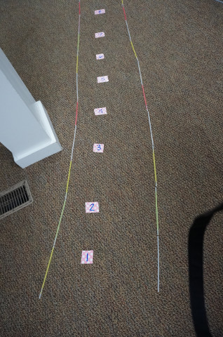 The Pink Pilots' path is numbered.
